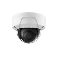 IP Cameras