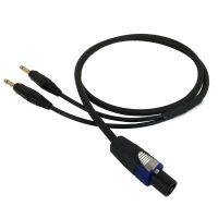 4-Pole speakON to 2 x 1/4 Inch TS Speaker Cables