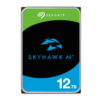Seagate SkyHawk AI 12TB (3)